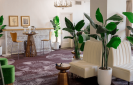 AFR Wellness Lounge white couches green stools and plants in white pots